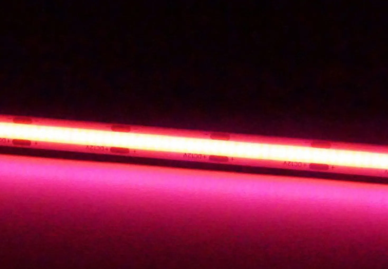 COB LED Strip 12V | 5m | 8mm | Pink | 9W/m | IP20