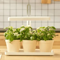 Grolys til Kryderurter | 2-Pak | 20 PPF | 20W | Justerbar Højde | Timer | BLOOM | Hvid