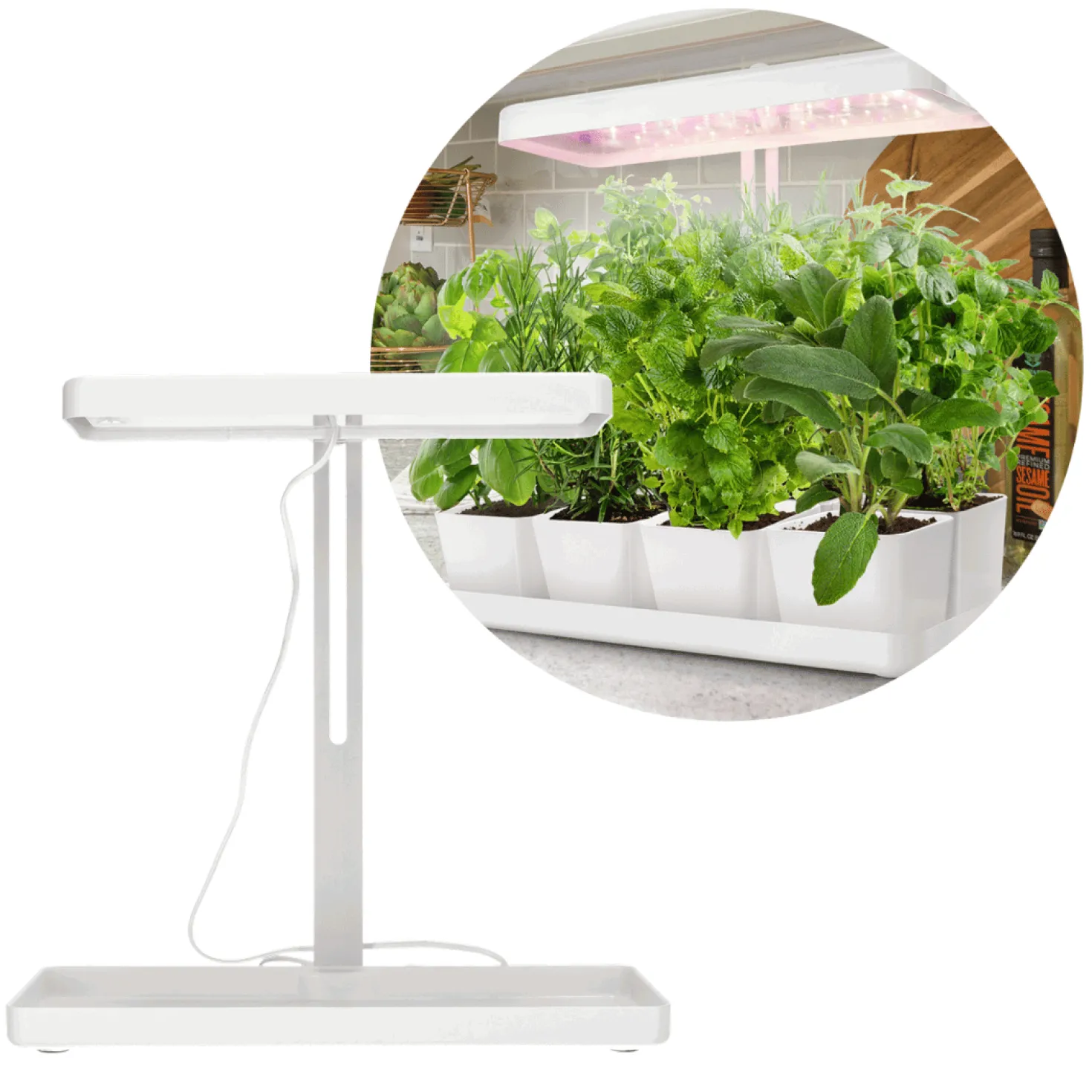 Grolys til Kryderurter | 2-Pak | 20 PPF | 20W | Justerbar Højde | Timer | BLOOM | Hvid