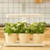 Grolys til Kryderurter | 20 PPF | 20W | Justerbar Højde | Timer | BLOOM | Hvid