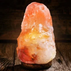 Himalaya Salt Lampe Med Træfod | 2,5 KG | Dæmpbar