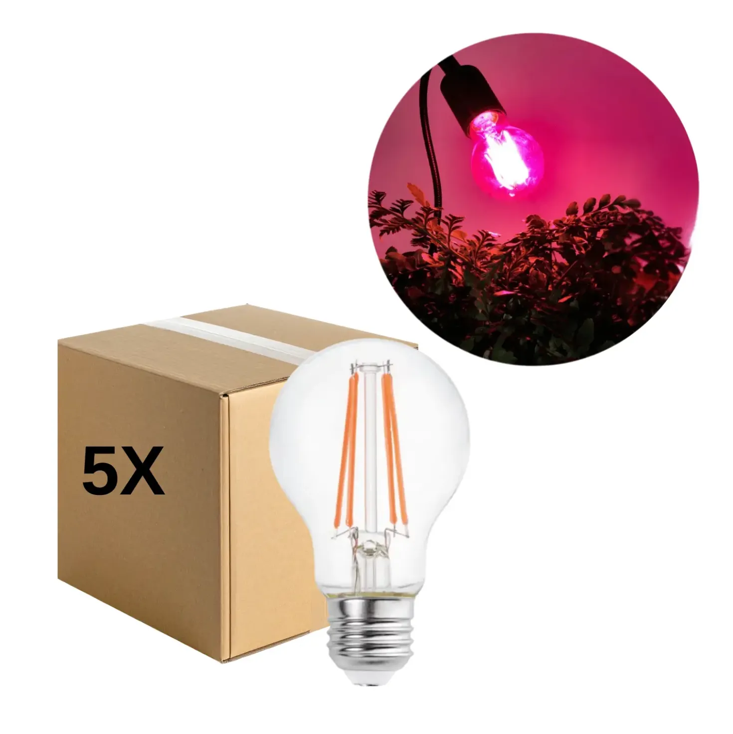 LED Grolys Pære E27 | 5-Pak | 10,98 PPF | 8W | PLANTY | Glas