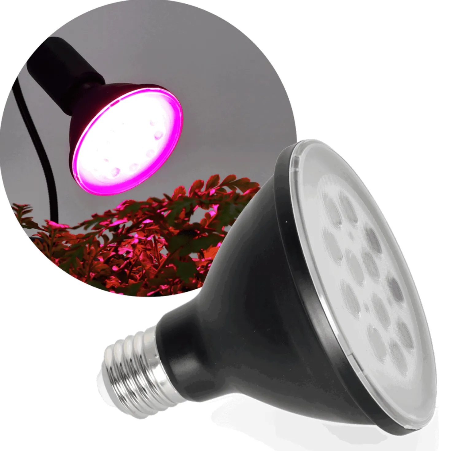 LED Grolys Pære E27 | 5-Pak | 10,5 PPF | 9W | PLANTY | Sort