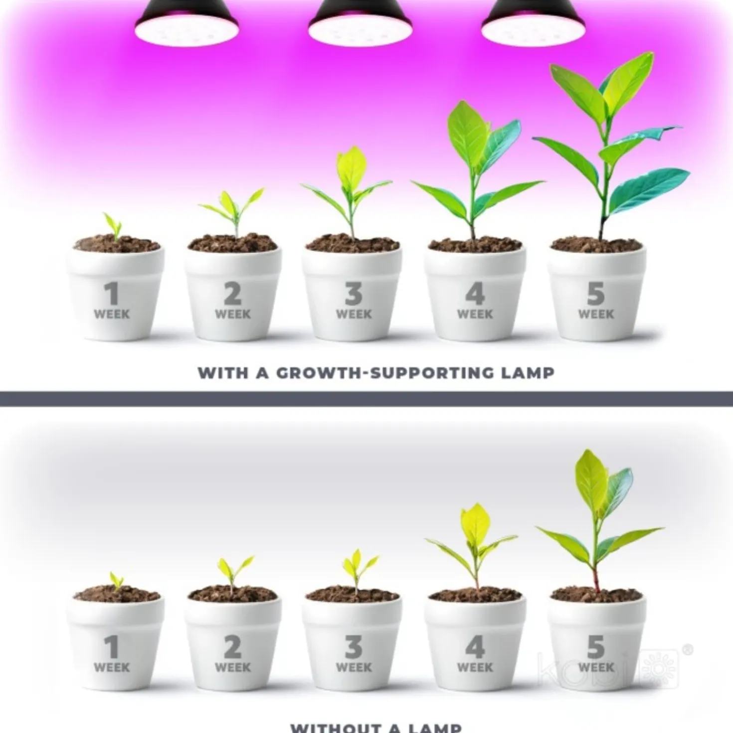 LED Grolys Pære E27 | 7,4 PPF | 7W | PLANTY | Sort