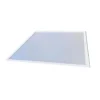 LED Panel 60x60 | 4000K | 3640lm | 26W | BRIGHT | UGR19 | Hvid
