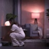 Philips Hue Smart Plug