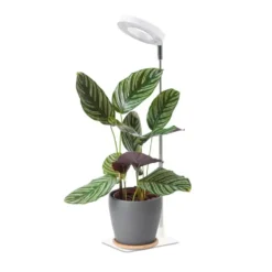 Plantelys Lampe | 2-Pak | 4.7 PPF | 5W | Justerbar Højde | Timer | VERDI V2 | Hvid