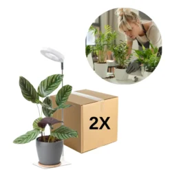 Plantelys Lampe | 2-Pak | 4.7 PPF | 5W | Justerbar Højde | Timer | VERDI V2 | Hvid
