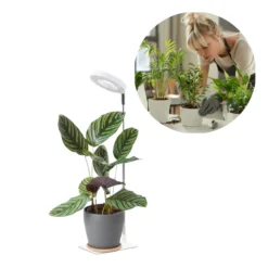 Plantelys Lampe | 2-Pak | 4.7 PPF | 5W | Justerbar Højde | Timer | VERDI V2 | Hvid