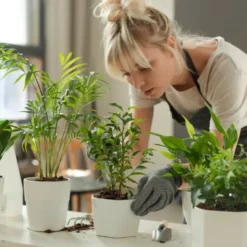 Plantelys Lampe | 4.7 PPF | 5W | Justerbar Højde | Timer | VERDI V2 | Hvid