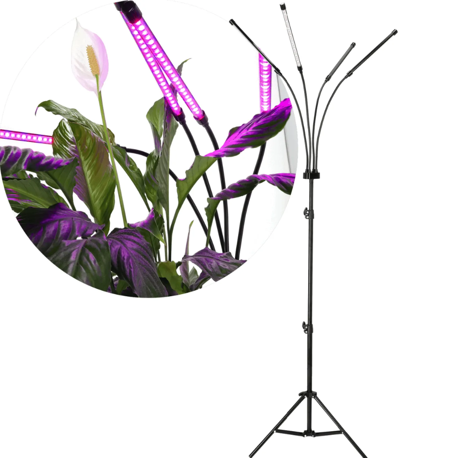 Plantelys Lampe | 69 PPF | 30W | 4 Lyselementer | VITARO 4ST | Sort