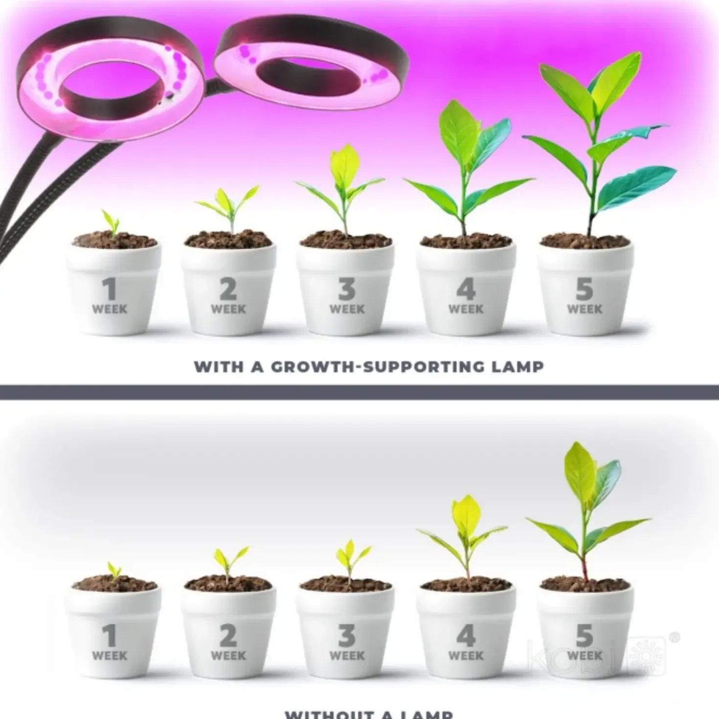 Plantelys Lampe | 7,6 PPF | 8W | 2 Ring Lyselementer | Timer | VITARO RING2 CLIP | Sort