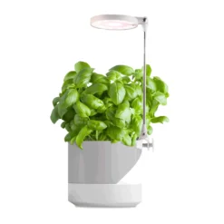 Plantelys Lampe på Spyd | 2-Pak | 6 PPF | 10W | Justerbar Højde | USB-A | VERDI | Hvid