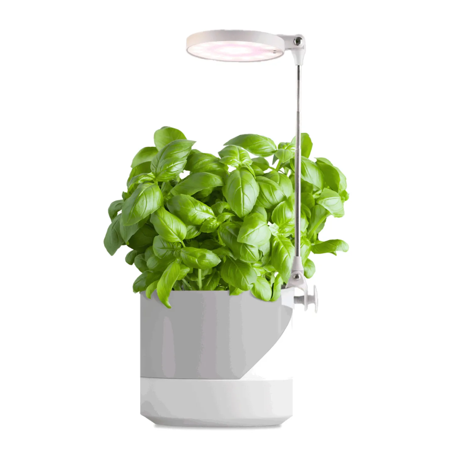 Plantelys Lampe på Spyd | 6 PPF | 10W | Justerbar Højde | USB-A | VERDI | Hvid
