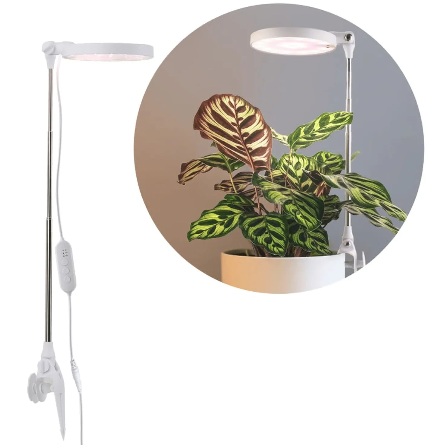 Plantelys Lampe på Spyd | 6 PPF | 10W | Justerbar Højde | USB-A | VERDI | Hvid