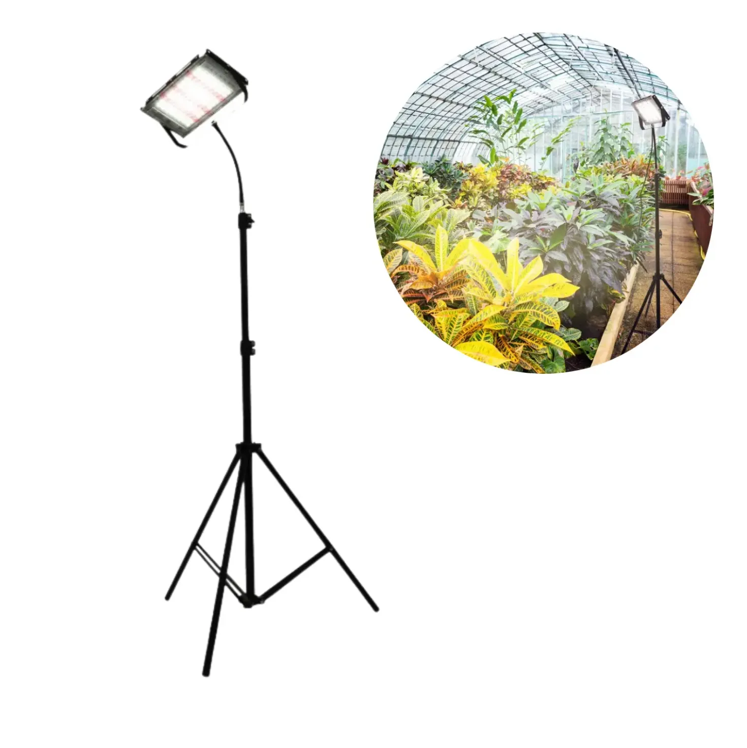 Plantelys Projektør | 60 PPF | 45W | Tripod | FIRON | Sort