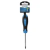 Skruetrækker | torx T10, 100 mm (HT1S053)