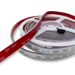 SMD LED Strip 24V | 5m | 12/15mm | RGBW | 1080lm/m | 14.4W/m | IP65
