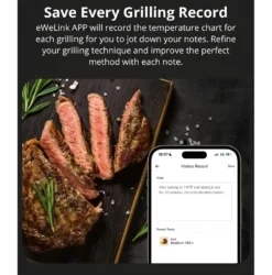 Sonoff BMT01 | BBQ Meat Thermometer | Digitalt Stegetermometer