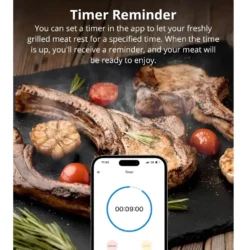 Sonoff BMT01 | BBQ Meat Thermometer | Digitalt Stegetermometer