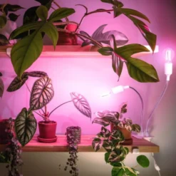 Vækstlys Lampe + Pære | 2-Pak | 7,4 PPF | 7W | 2 Arme | Med Klemme | Hvid