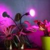 Vækstlys Lampe + Pære | 2-Pak | 7,4 PPF | 7W | 2 Arme | Med Klemme | Sort