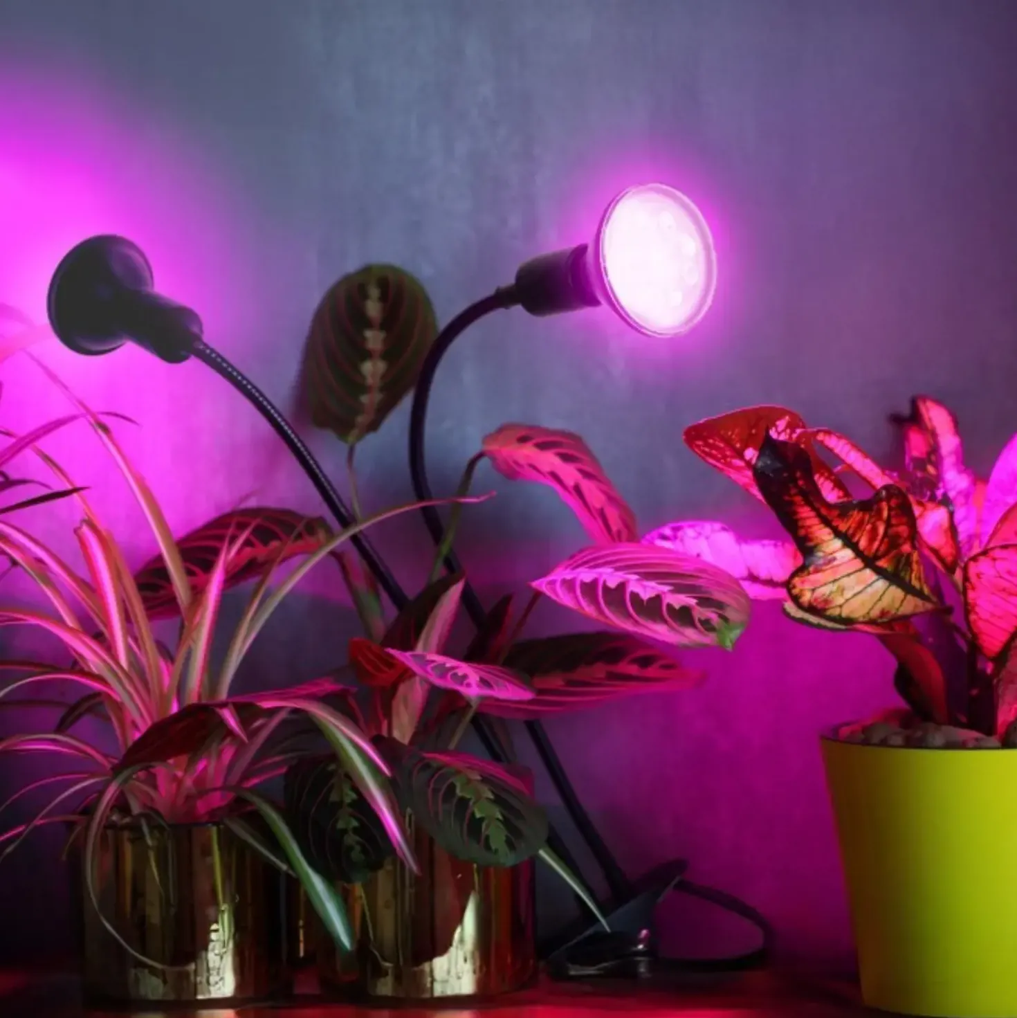 Vækstlys Lampe + Pære | 2-Pak | 7,4 PPF | 7W | 2 Arme | Med Klemme | Sort