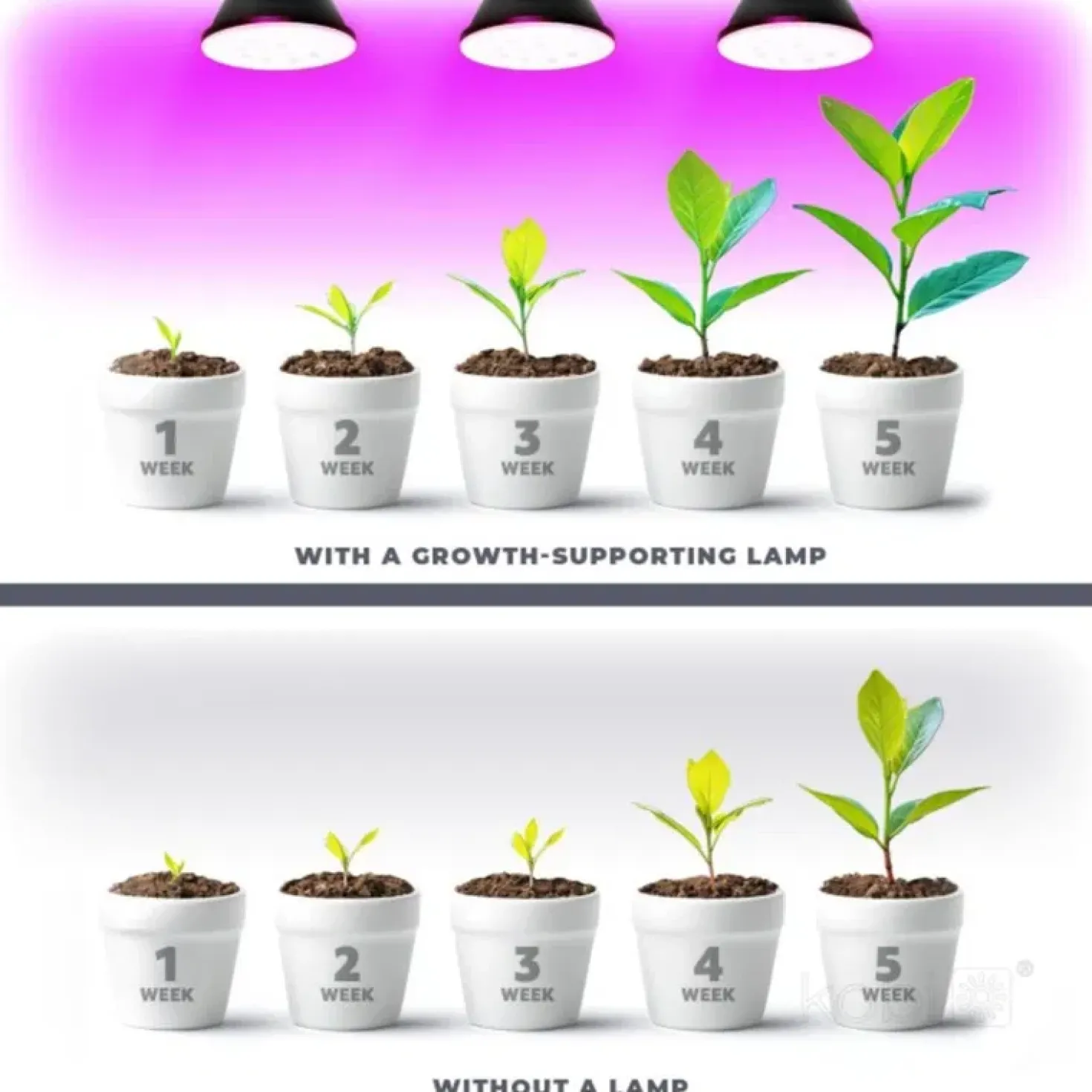 Vækstlys Lampe + Pære | 2-Pak | 7,4 PPF | 7W | 2 Arme | Med Klemme | Sort